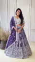 Royal Violet Mirror Embroidered Lehenga Set